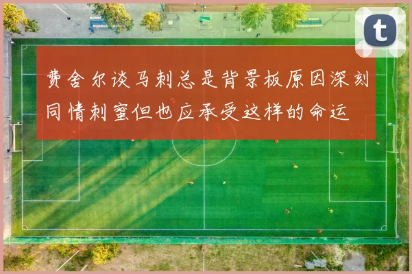 费舍尔谈马刺总是背景板原因深刻同情刺蜜但也应承受这样的命运